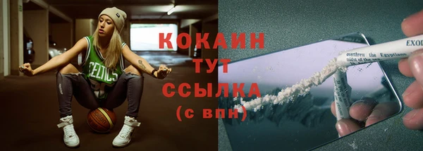 соль ск Богородск
