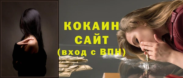 соль ск Богородск
