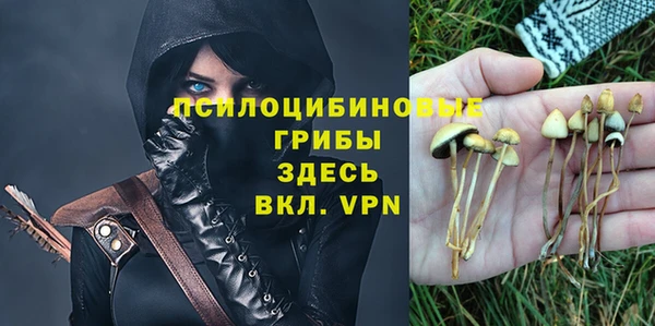 хмурый Богородицк