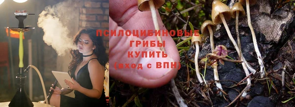 хмурый Богородицк