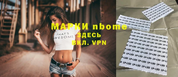 хмурый Богородицк